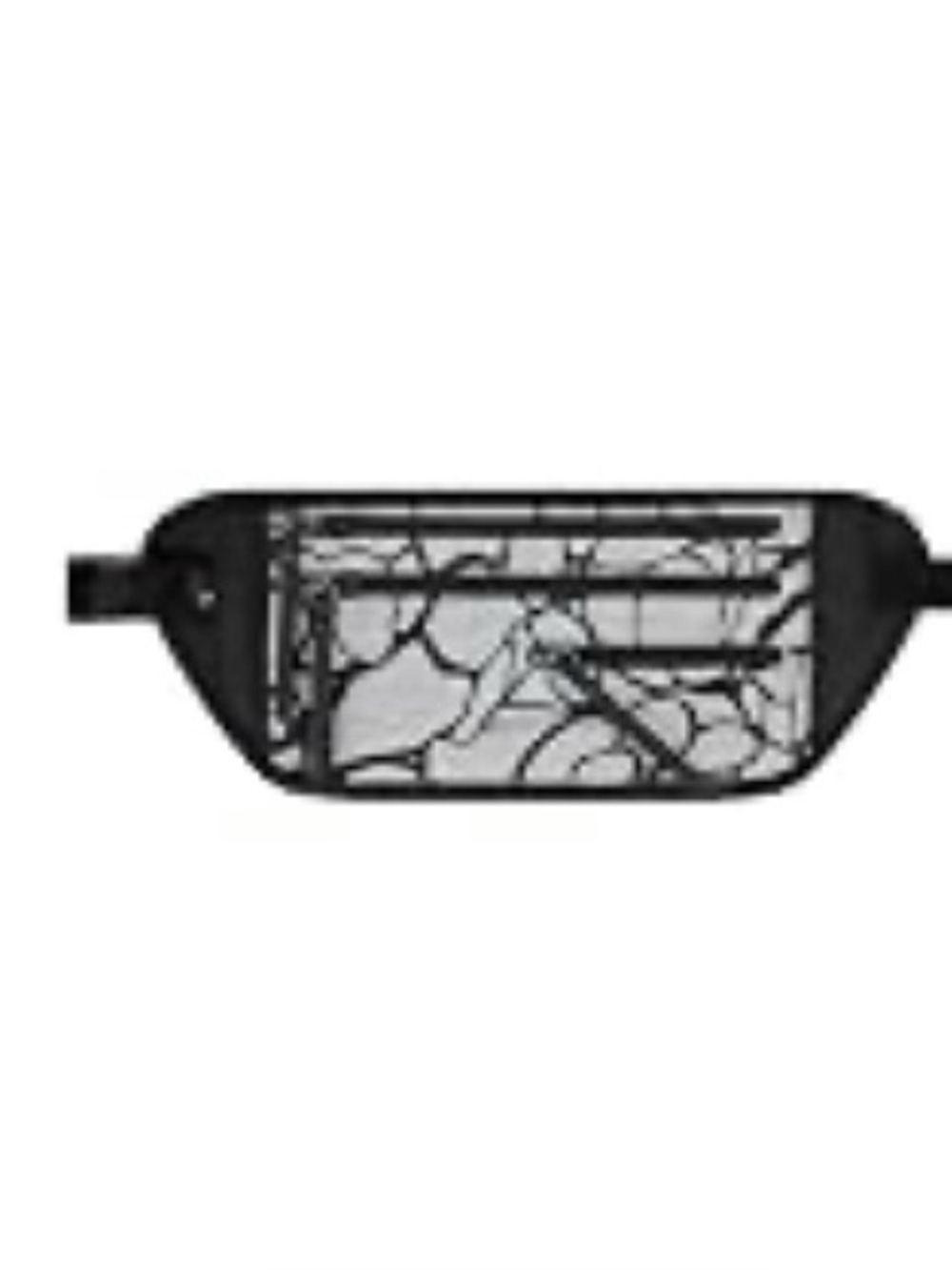 Sherpani travel money belt